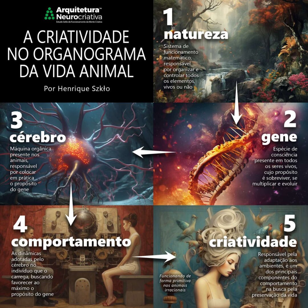 infografico organograma da criatividade