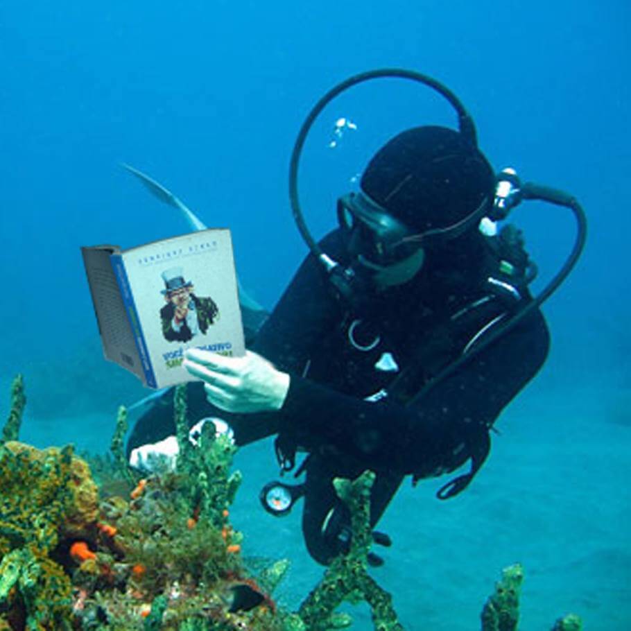 livro mergulho