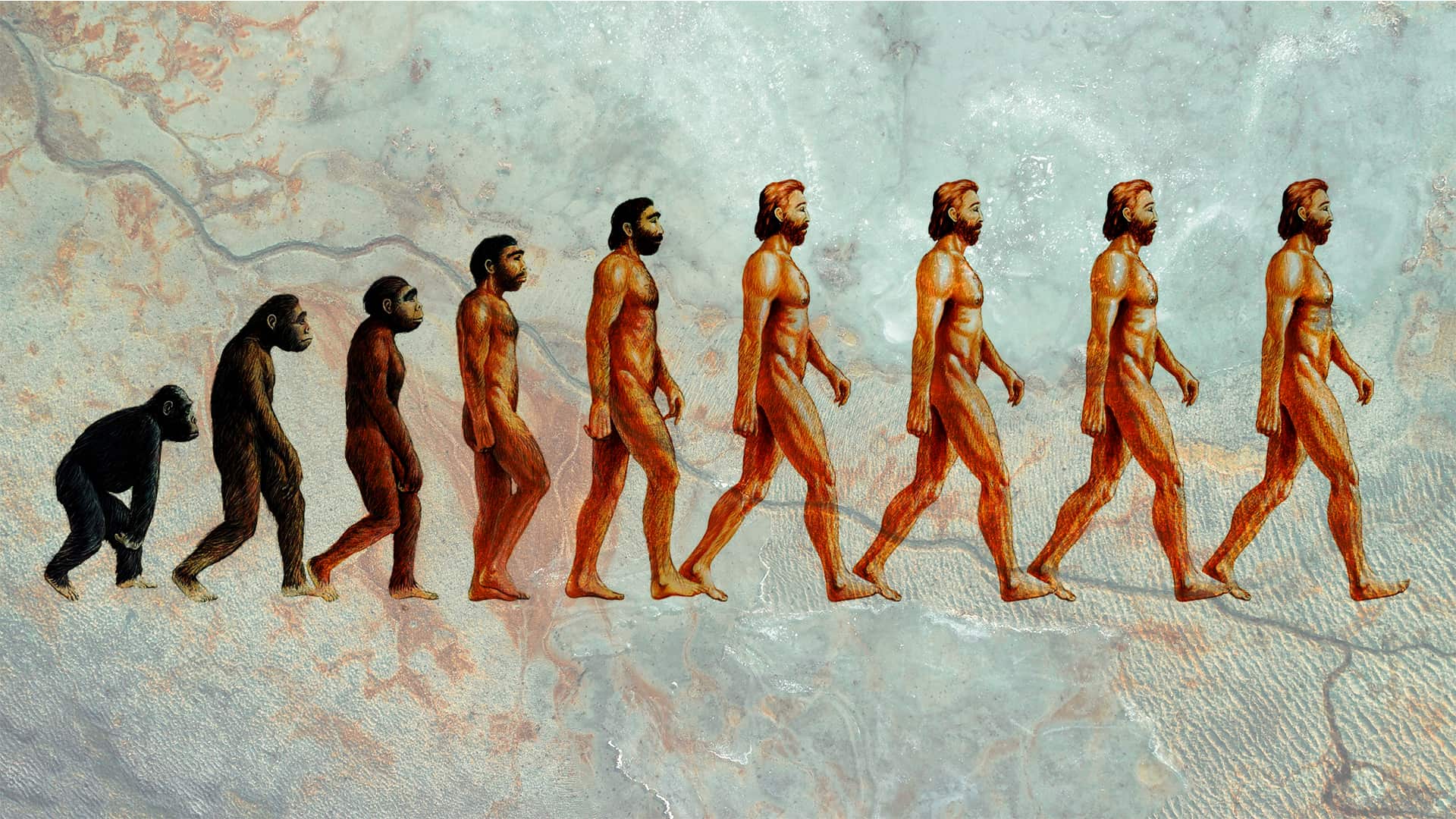 parar de evoluir geneticamente